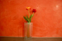 Wandgestaltung mit Stucco Veneziano