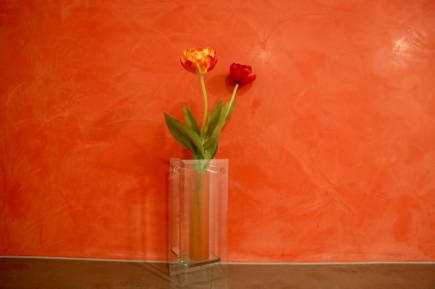 Wandgestaltung mit Stucco Veneziano